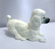 small poodle for sale small poodle for sale Upper Lake