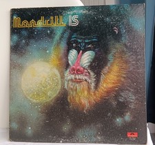 Mandrill mandrill uk for sale  LEICESTER