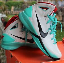 Mint 2010 nike for sale  Beverly Hills