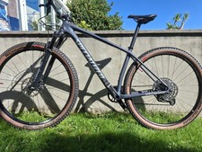 Specialized epic hardtail for sale  TORQUAY