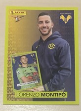Hellas verona calciatori usato  Podenzano