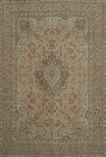 Subtle earth tones for sale  Charlotte