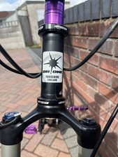 One inbred mtb for sale  BLACKWOOD