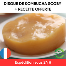 Kombucha Scoby Kit de démarrage de Culture Recette complète incluse, usado comprar usado  Enviando para Brazil