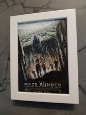 Maze runner movie for sale  BIRKENHEAD