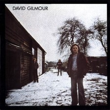 Vinyl david gilmour usato  Bra