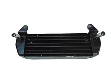 Radiatore olio bmw usato Radiatore olio bmw usato  Italia