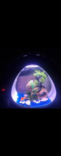 Small nano curve for sale  BARNET