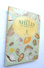 Cowry shells allan usato  Cremona