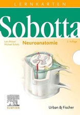Sobotta lernkarten neuroanatom gebraucht kaufen  Köln