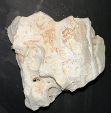 Texas limestone holey for sale  Worth