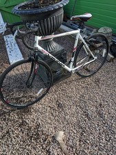White black race for sale  LUDLOW