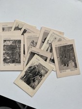 Ww1 cartoline rare usato  Italia