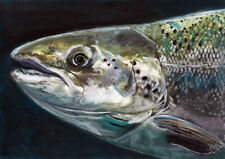 Atlantic salmon fishing for sale  NOTTINGHAM