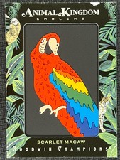 macaw for sale  Passaic