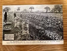 Potato harvest vintage for sale  LONDON