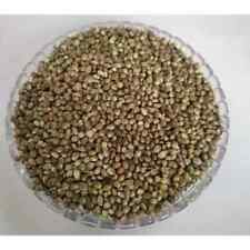 100 g de semente de cânhamo orgânico pássaro seada 100 g de qualidade premium original comprar usado  Enviando para Brazil