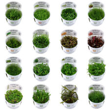Tropica live aquarium for sale  THAME
