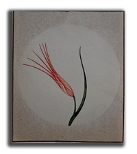 Indio Lomos Flor Hecho a Mano Pintura Miniatura 22.2x19.1cm Pn3221 CM, usado comprar usado  Enviando para Brazil