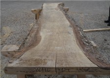 Walnuss massiv bohle gebraucht kaufen  Grasberg