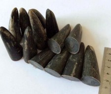 12X Colgante de punta de búfalo negro sólido cuentas materiales artesanales hágalo usted mismo segunda mano  Embacar hacia Mexico