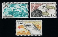 Fulmars petrels gull for sale  UK