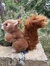 Living nature squirrel for sale  ELY