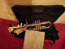 Trompete dur messing gebraucht kaufen Trompete dur messing gebraucht kaufen  Groß Köris