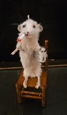 Taxidermy funny smoking for sale  LONDON