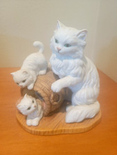 White persian cat for sale  Fargo