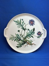Villeroy boch botanica gebraucht kaufen  Neuwied