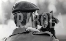 Vintage cucciolo pastore usato  Roma