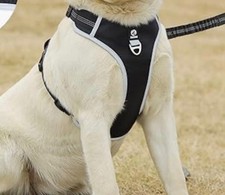 Dog harness black for sale  BURY ST. EDMUNDS