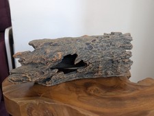 reptilienhohle gebraucht kaufen  Versand nach Germany