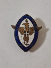 Distintivo fregio spilla usato  Reggio Calabria