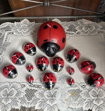 Lot lady bug for sale  Canton