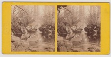 Devon stereoview river for sale  BATH