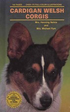 Cardigan welsh corgis for sale  AMMANFORD