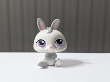 Littlest pet shop for sale  Greencastle