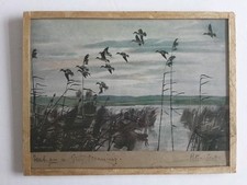 peter scott print for sale  USK