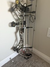 Compound bow bear for sale  Delaware