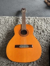 Stunning spanish peres for sale  SALISBURY