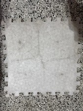 Ice dryland flooring for sale  Alsip