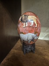 Uova struzzo usato  Vigevano