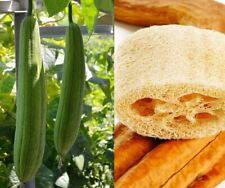 Easy grow natural for sale  ELY