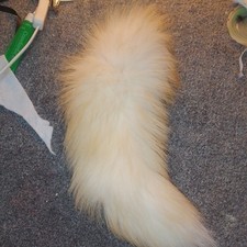 Cinnamon fox tail for sale  GRAVESEND