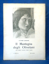 Ettore cozzani mantegna usato  Torino