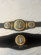 Wwe nxt tag for sale  CHESHAM