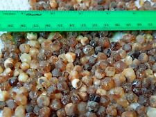 Colar Misbah contas âmbar bola gota pedras bálticas mosaico pingente 100 g, usado comprar usado  Enviando para Brazil