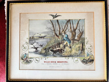 Wild duck shooting for sale  LEEDS